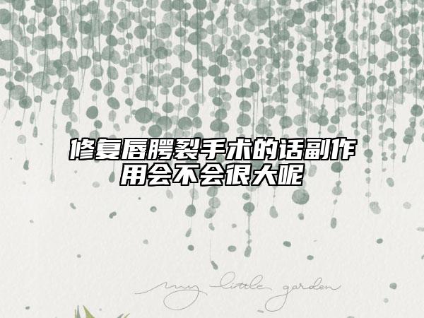修復(fù)唇腭裂手術(shù)的話副作用會(huì)不會(huì)很大呢