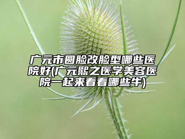 廣元市圓臉改臉型哪些醫(yī)院好(廣元熙之醫(yī)學(xué)美容醫(yī)院一起來看看哪些牛)