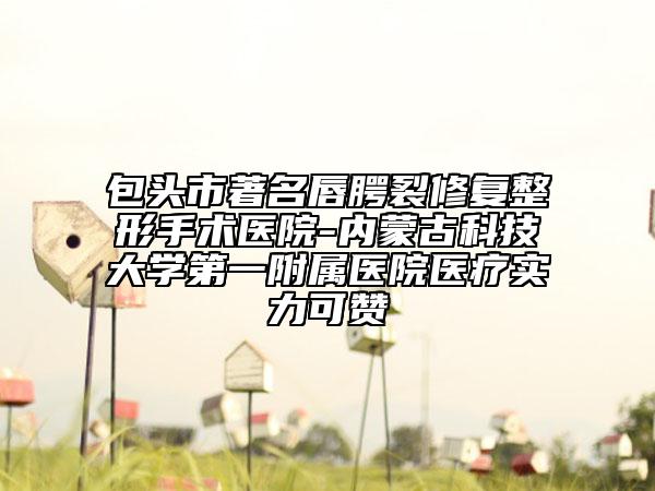 包頭市著名唇腭裂修復(fù)整形手術(shù)醫(yī)院-內(nèi)蒙古科技大學(xué)第一附屬醫(yī)院醫(yī)療實(shí)力可贊
