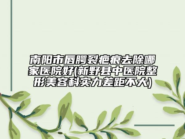 南陽(yáng)市唇腭裂疤痕去除哪家醫(yī)院好(新野縣中醫(yī)院整形美容科實(shí)力差距不大)