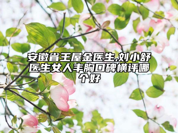 安徽省王屋金醫(yī)生,劉小舒醫(yī)生女人豐胸口碑橫評哪個好