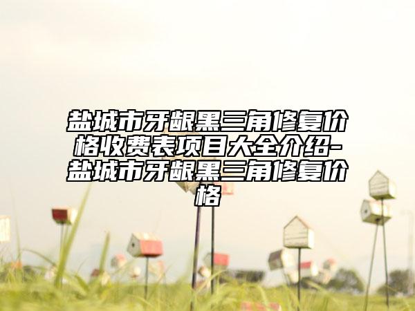 鹽城市牙齦黑三角修復(fù)價(jià)格收費(fèi)表項(xiàng)目大全介紹-鹽城市牙齦黑三角修復(fù)價(jià)格