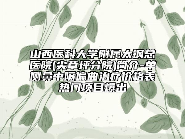 山西醫(yī)科大學(xué)附屬太鋼總醫(yī)院(尖草坪分院)簡介-單側(cè)鼻中隔偏曲治療價格表熱門項目爆出
