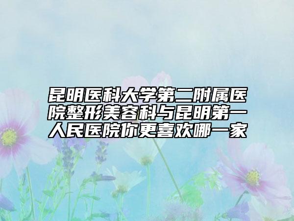 昆明醫(yī)科大學第二附屬醫(yī)院整形美容科與昆明第一人民醫(yī)院你更喜歡哪一家
