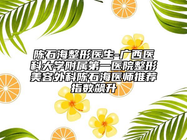 陳石海整形醫(yī)生-廣西醫(yī)科大學(xué)附屬第一醫(yī)院整形美容外科陳石海醫(yī)師推薦指數(shù)飆升
