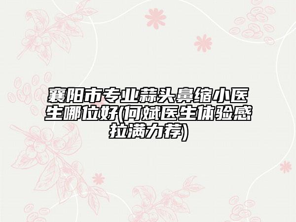襄陽市專業(yè)蒜頭鼻縮小醫(yī)生哪位好(何斌醫(yī)生體驗感拉滿力薦)