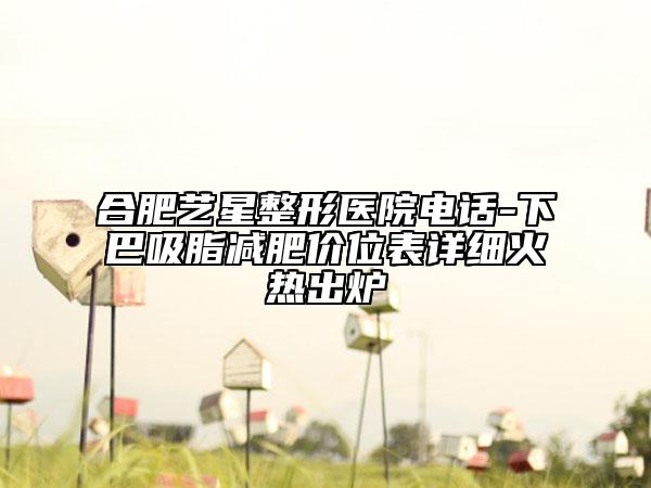 合肥藝星整形醫(yī)院電話-下巴吸脂減肥價(jià)位表詳細(xì)火熱出爐