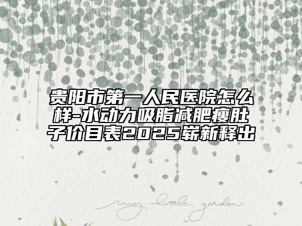 貴陽(yáng)市第一人民醫(yī)院怎么樣-水動(dòng)力吸脂減肥瘦肚子價(jià)目表2025嶄新釋出