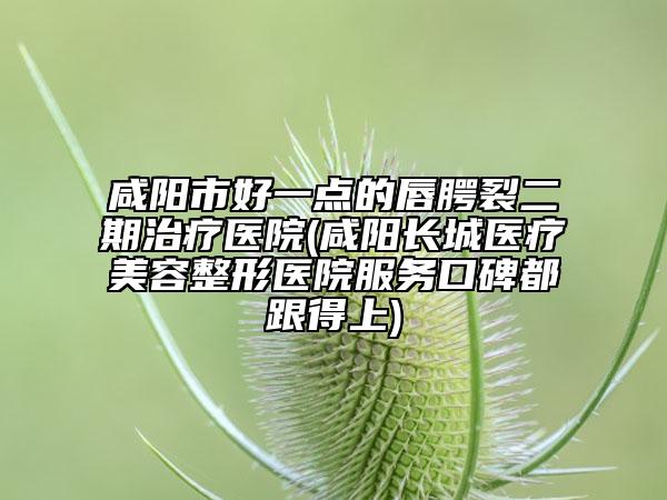 咸陽市好一點的唇腭裂二期治療醫(yī)院(咸陽長城醫(yī)療美容整形醫(yī)院服務(wù)口碑都跟得上)