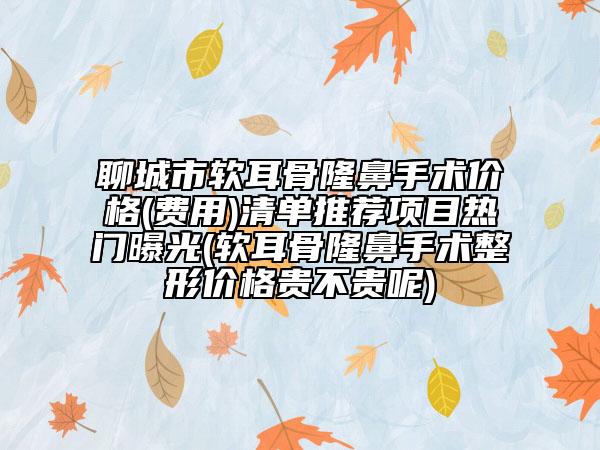 聊城市軟耳骨隆鼻手術(shù)價格(費用)清單推薦項目熱門曝光(軟耳骨隆鼻手術(shù)整形價格貴不貴呢)