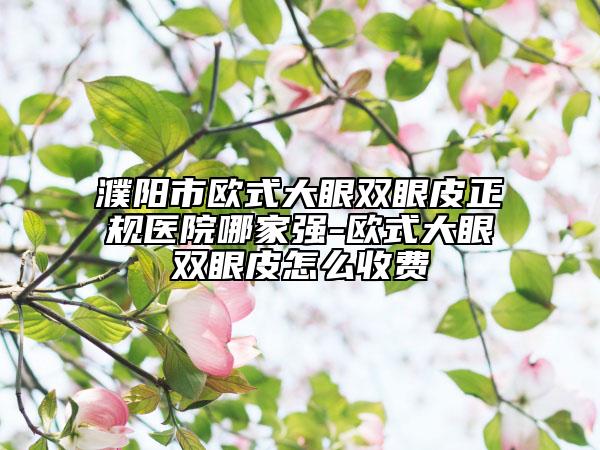 濮陽市歐式大眼雙眼皮正規(guī)醫(yī)院哪家強(qiáng)-歐式大眼雙眼皮怎么收費(fèi)