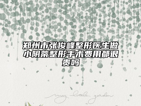 鄭州市張俊峰整形醫(yī)生做小陰蒂整形手術(shù)費(fèi)用都很貴嗎