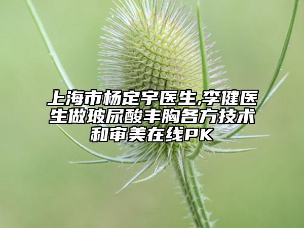 上海市楊定宇醫(yī)生,李健醫(yī)生做玻尿酸豐胸各方技術(shù)和審美在線PK