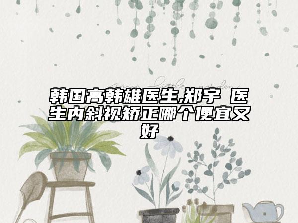 韓國高韓雄醫(yī)生,鄭宇喆醫(yī)生內斜視矯正哪個便宜又好