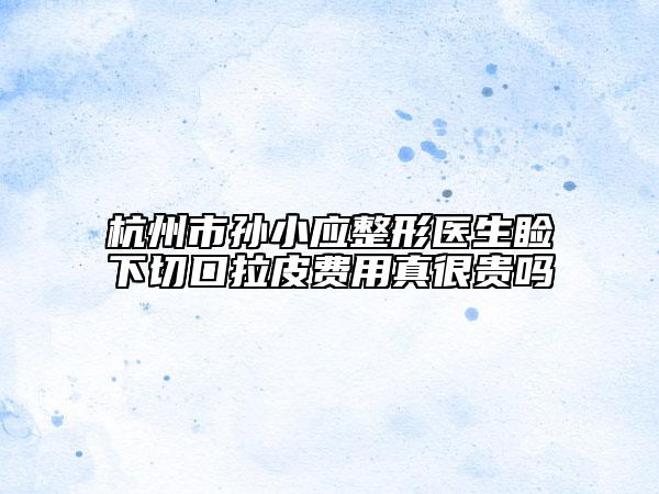杭州市孫小應(yīng)整形醫(yī)生瞼下切口拉皮費(fèi)用真很貴嗎