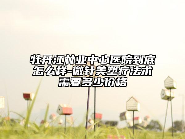 牡丹江林業(yè)中心醫(yī)院到底怎么樣-微針美塑療法術(shù)需要多少價格