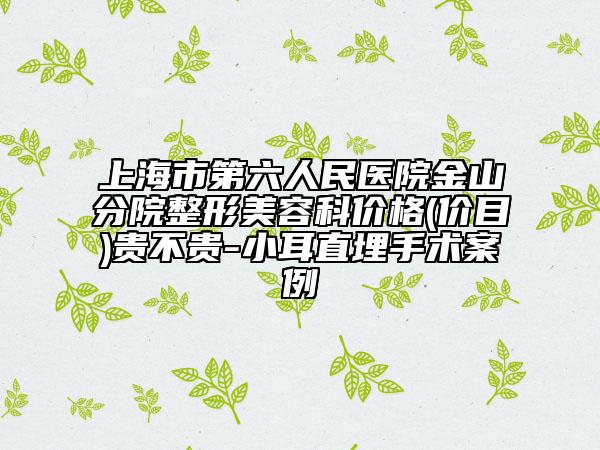 上海市第六人民醫(yī)院金山分院整形美容科價格(價目)貴不貴-小耳直埋手術案例