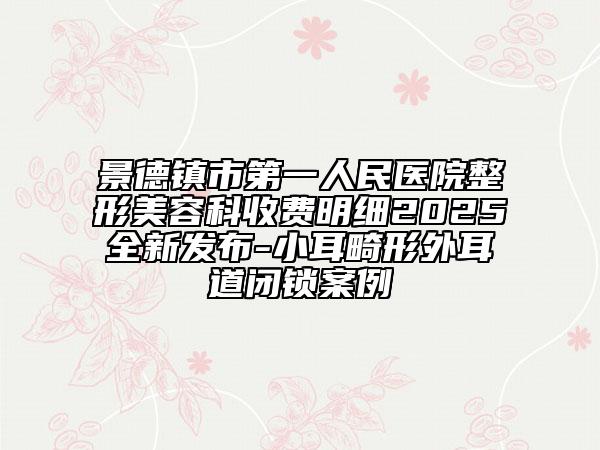 景德鎮(zhèn)市第一人民醫(yī)院整形美容科收費(fèi)明細(xì)2025全新發(fā)布-小耳畸形外耳道閉鎖案例