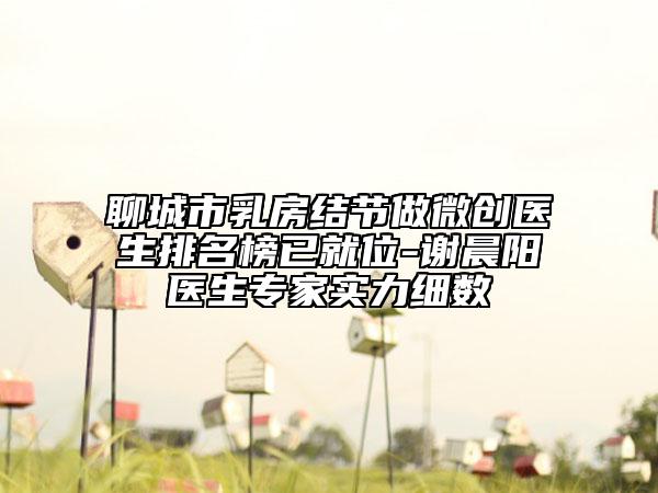 聊城市乳房結(jié)節(jié)做微創(chuàng)醫(yī)生排名榜已就位-謝晨陽醫(yī)生專家實力細(xì)數(shù)