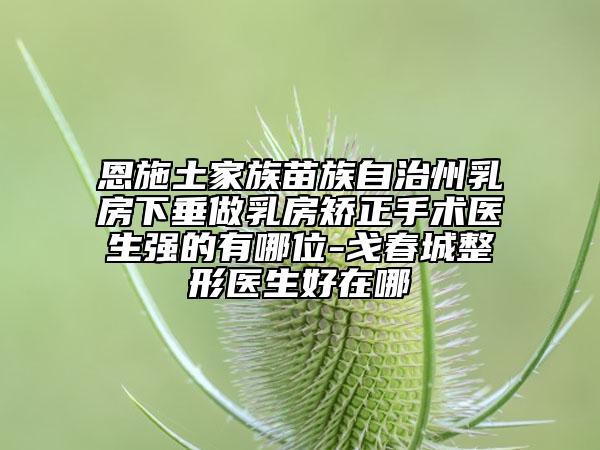 恩施土家族苗族自治州乳房下垂做乳房矯正手術(shù)醫(yī)生強的有哪位-戈春城整形醫(yī)生好在哪