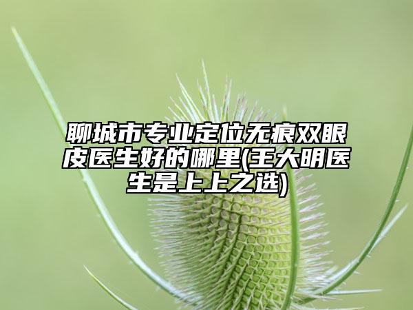 聊城市專業(yè)定位無痕雙眼皮醫(yī)生好的哪里(王大明醫(yī)生是上上之選)