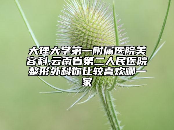 大理大學(xué)第一附屬醫(yī)院美容科,云南省第二人民醫(yī)院整形外科你比較喜歡哪一家