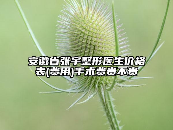 安徽省張宇整形醫(yī)生價(jià)格表(費(fèi)用)手術(shù)費(fèi)貴不貴