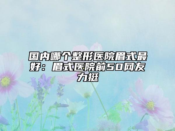 國內(nèi)哪個(gè)整形醫(yī)院眉式最好：眉式醫(yī)院前50網(wǎng)友力挺