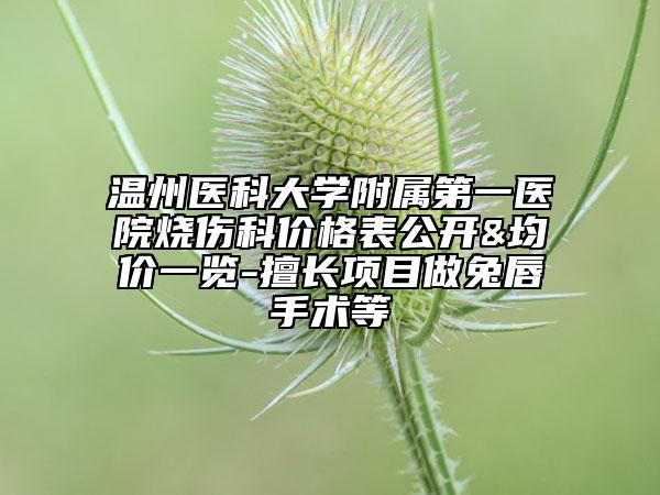 溫州醫(yī)科大學(xué)附屬第一醫(yī)院燒傷科價格表公開&均價一覽-擅長項目做兔唇手術(shù)等