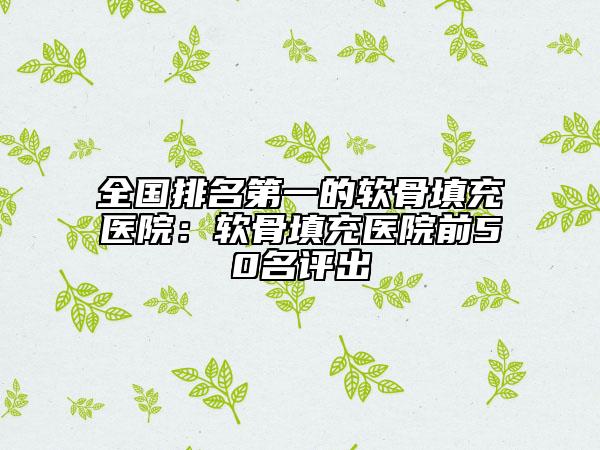 全國(guó)排名第一的軟骨填充醫(yī)院：軟骨填充醫(yī)院前50名評(píng)出