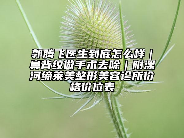 郭騰飛醫(yī)生到底怎么樣｜鼻背紋做手術(shù)去除｜附漯河締萊美整形美容診所價格價位表