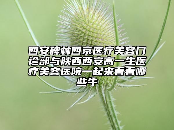 西安碑林西京醫(yī)療美容門診部與陜西西安高一生醫(yī)療美容醫(yī)院一起來看看哪些牛
