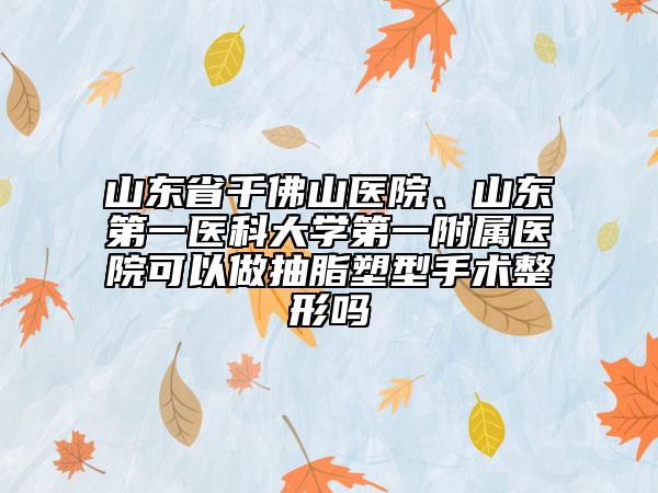 山東省千佛山醫(yī)院、山東第一醫(yī)科大學(xué)第一附屬醫(yī)院可以做抽脂塑型手術(shù)整形嗎