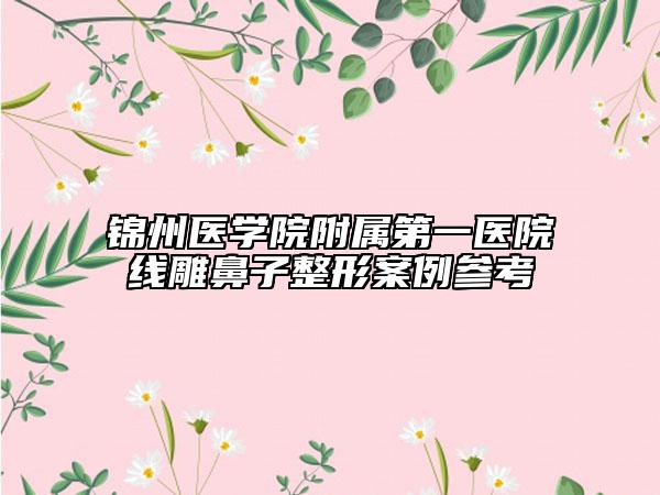 錦州醫(yī)學(xué)院附屬第一醫(yī)院線雕鼻子整形案例參考