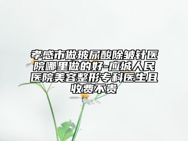 孝感市做玻尿酸除皺針醫(yī)院哪里做的好-應城人民醫(yī)院美容整形專科醫(yī)生且收費不貴