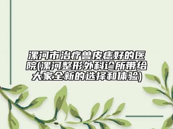 漯河市治療獸皮痣好的醫(yī)院(漯河整形外科診所帶給大家全新的選擇和體驗(yàn))