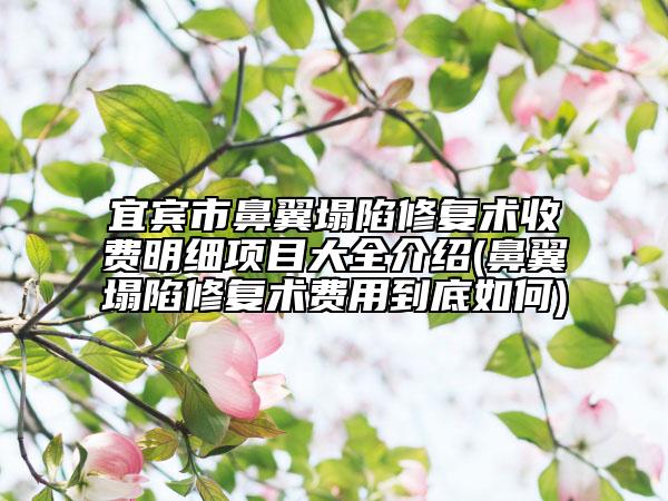 宜賓市鼻翼塌陷修復(fù)術(shù)收費明細項目大全介紹(鼻翼塌陷修復(fù)術(shù)費用到底如何)